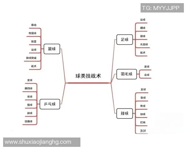 北京篮球队选拔赛表现分析团队配合与战术执行的关键因素探讨