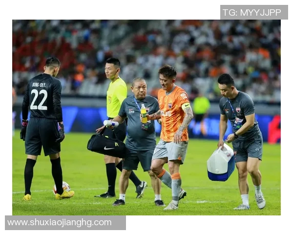 武汉足球队拼搏历程揭秘：从低谷到巅峰的奋斗之路